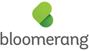tools-bloomerang-logo-min