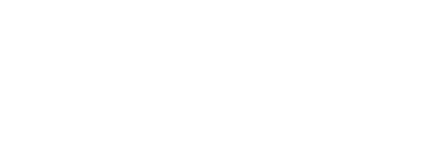 story-logo-white